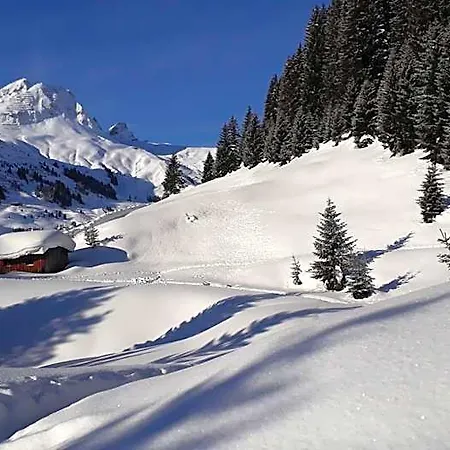فندق Naturhaus Am Arlberg 3*